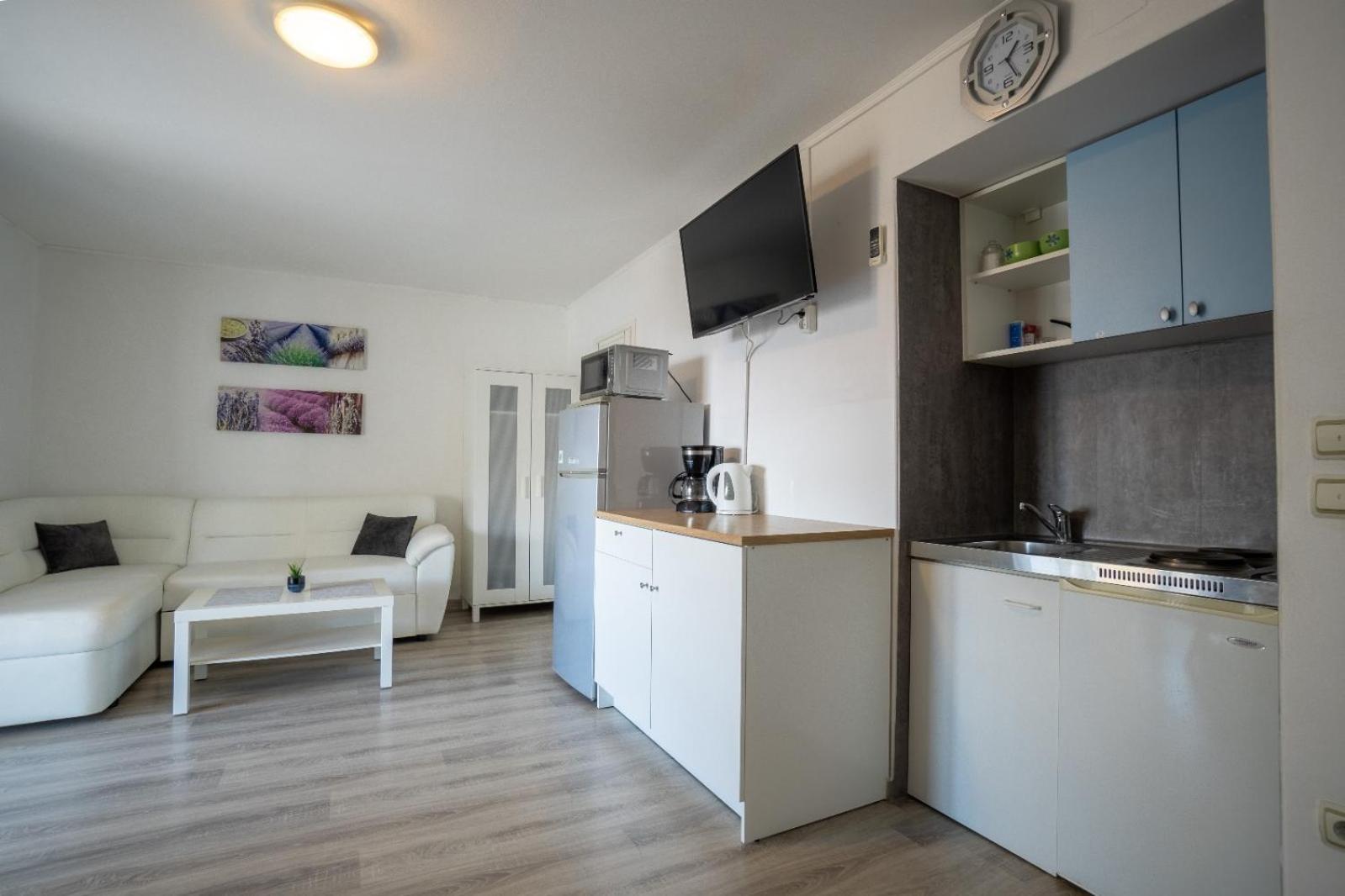 Apartments Pavic Vir Extérieur photo