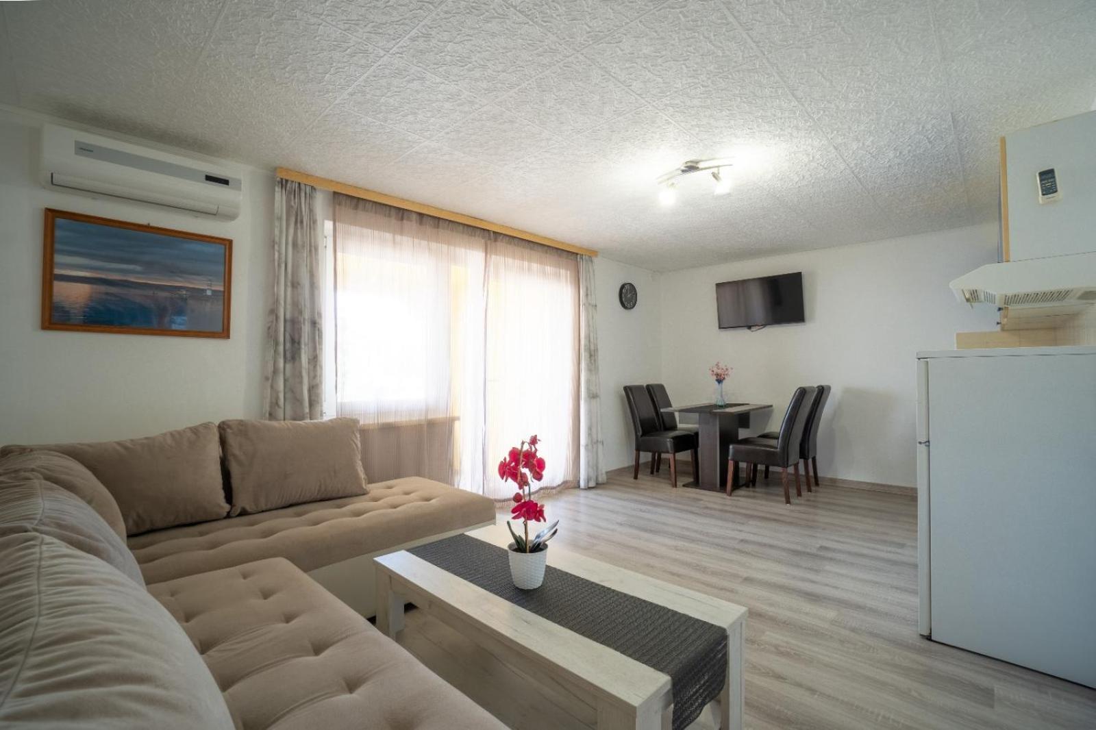 Apartments Pavic Vir Extérieur photo